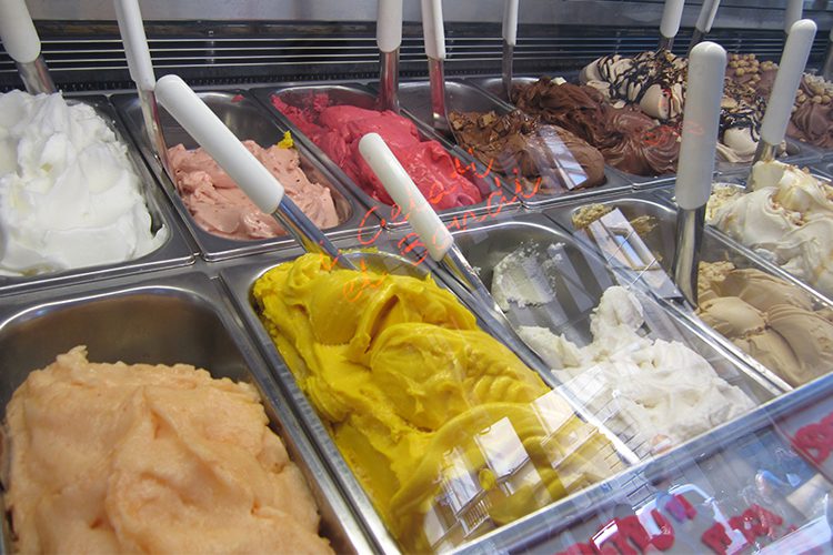 Photo by the authors