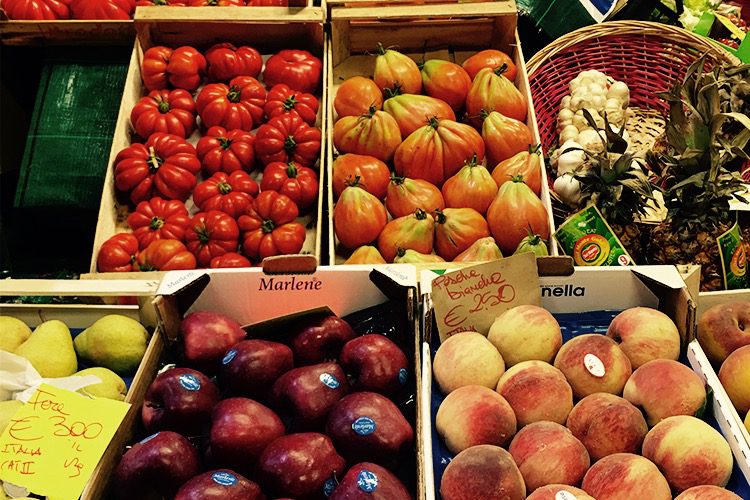 Photo by the authors